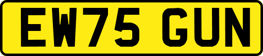 EW75GUN