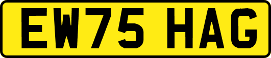 EW75HAG