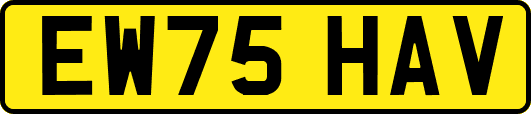 EW75HAV