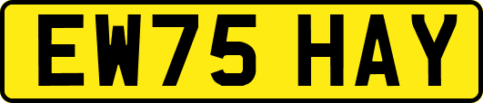 EW75HAY