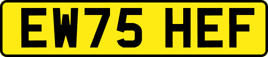 EW75HEF