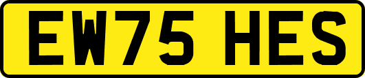 EW75HES