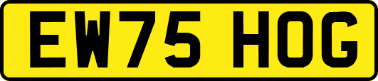 EW75HOG