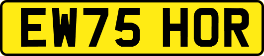 EW75HOR