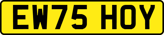 EW75HOY