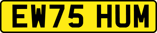 EW75HUM