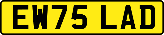 EW75LAD