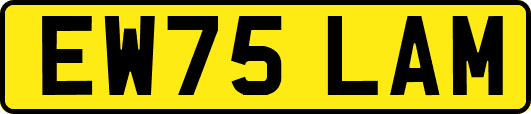 EW75LAM