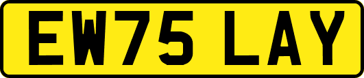 EW75LAY