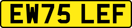 EW75LEF