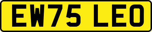 EW75LEO