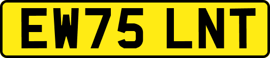EW75LNT