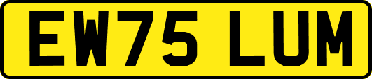 EW75LUM