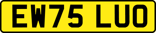 EW75LUO