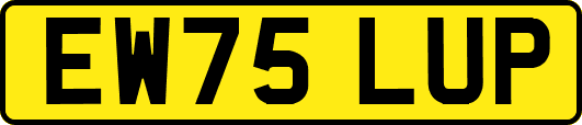 EW75LUP