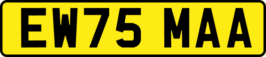 EW75MAA