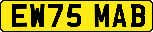 EW75MAB