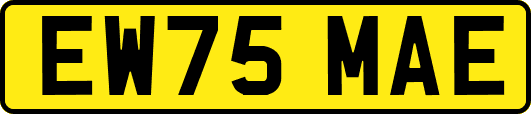 EW75MAE