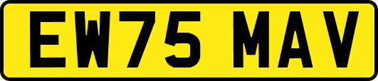 EW75MAV