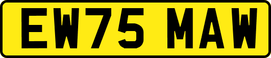 EW75MAW