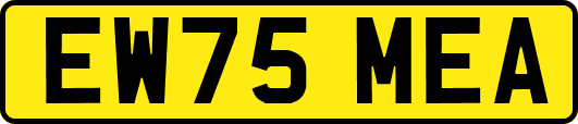 EW75MEA
