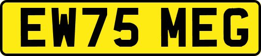 EW75MEG