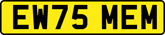 EW75MEM