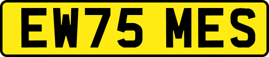 EW75MES