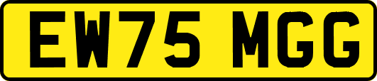 EW75MGG