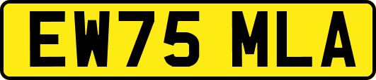 EW75MLA