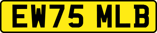 EW75MLB