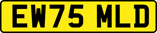 EW75MLD