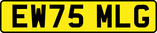 EW75MLG