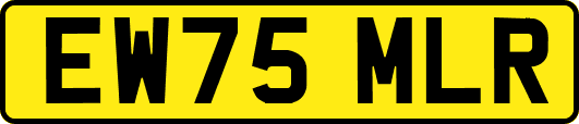 EW75MLR