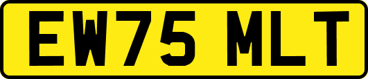 EW75MLT