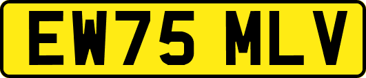 EW75MLV