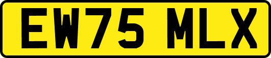 EW75MLX