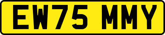 EW75MMY