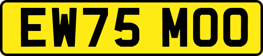 EW75MOO