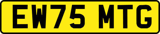 EW75MTG