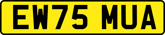 EW75MUA