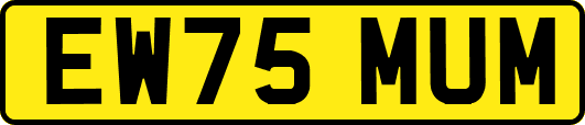EW75MUM