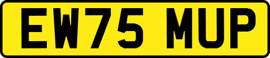 EW75MUP
