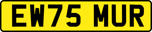 EW75MUR