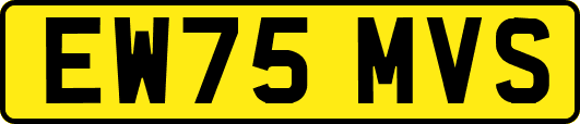 EW75MVS