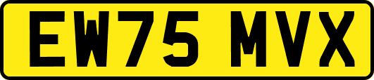 EW75MVX