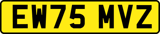 EW75MVZ