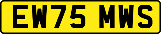 EW75MWS