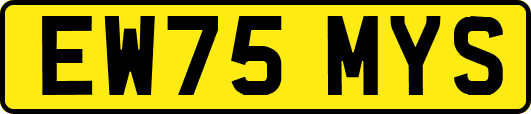 EW75MYS