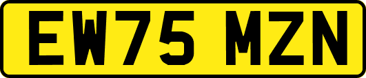 EW75MZN